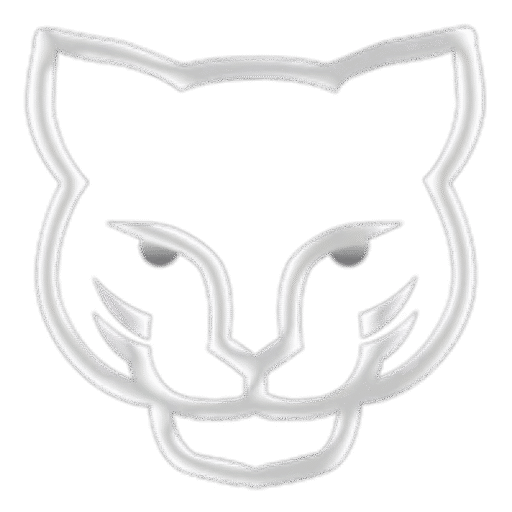 Puma Business Consulting